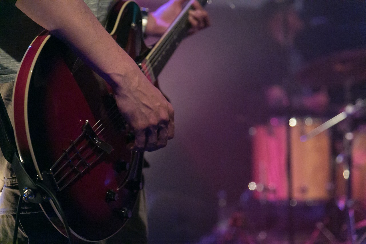 guitarist